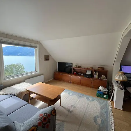 Feriehus Stort Hus Med Bad Og Sjolinje